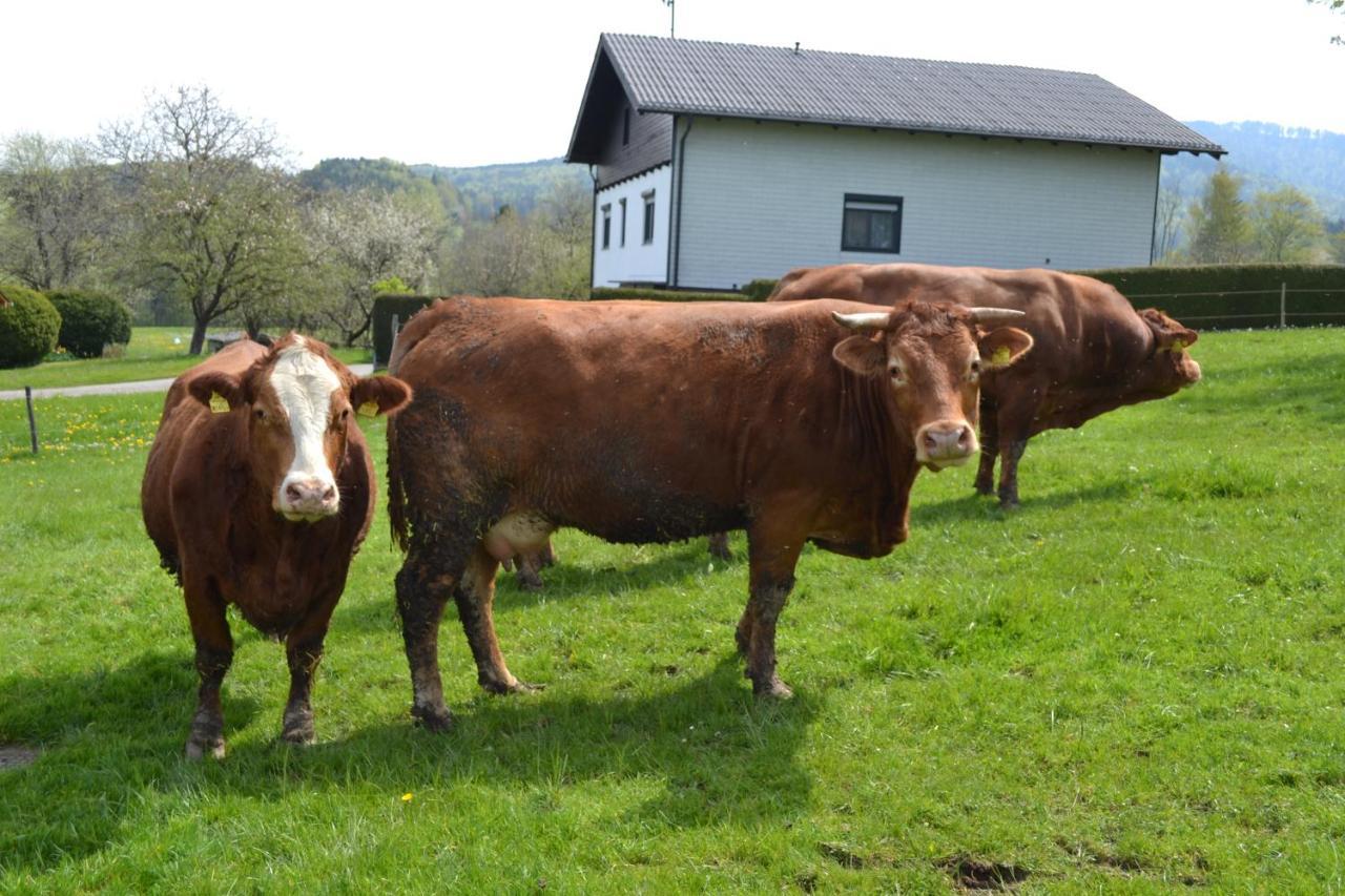 Ferienwohnung Biohof Auinger, Der Tiererlebnishof Aurach am Hongar Exterior foto