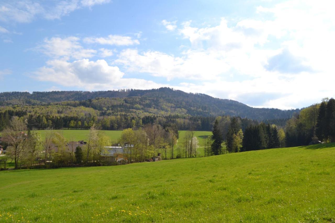 Ferienwohnung Biohof Auinger, Der Tiererlebnishof Aurach am Hongar Exterior foto
