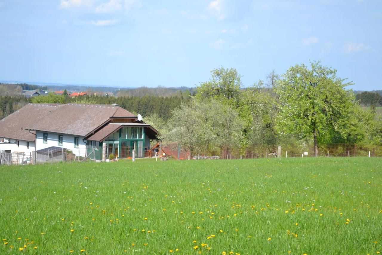 Ferienwohnung Biohof Auinger, Der Tiererlebnishof Aurach am Hongar Exterior foto